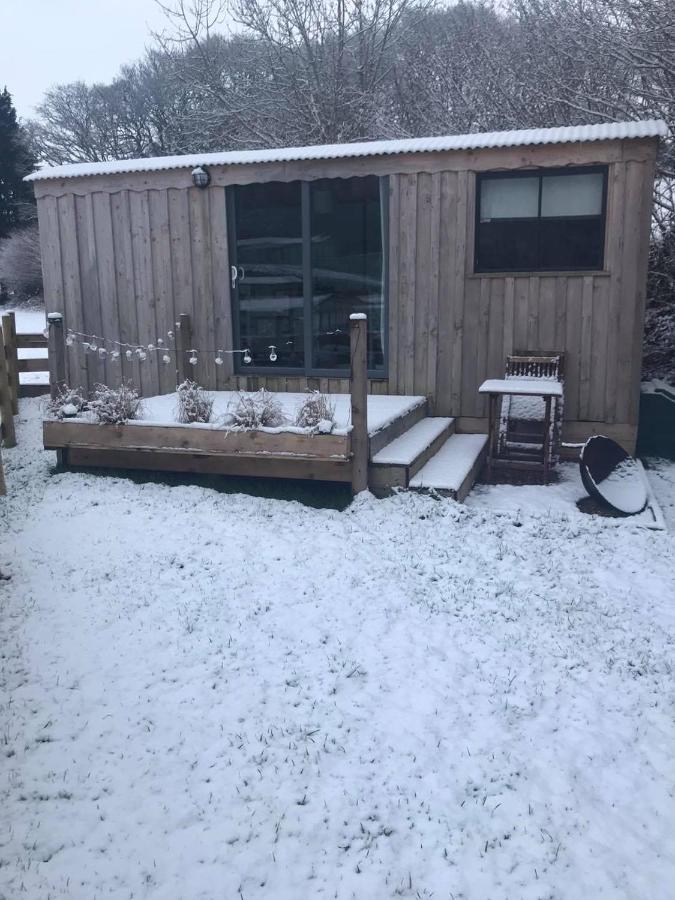 Cefn Crib Cabins Machynlleth Exterior foto